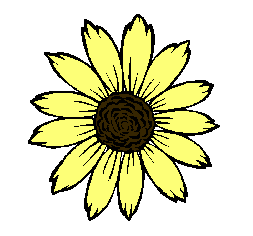 Girasol