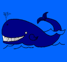 Dibujo Ballena pintado por TDFDFYEGRDFEY