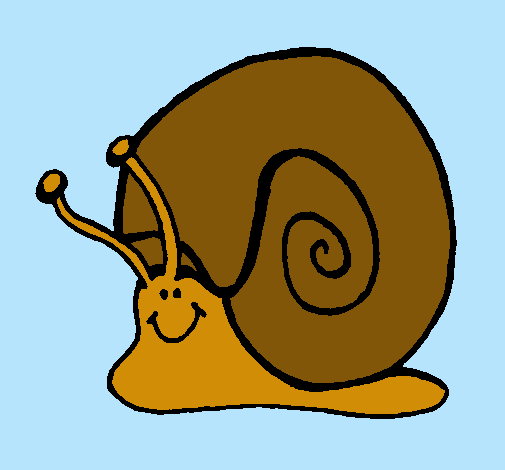 Caracol 