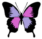 Dibujo Mariposa con alas negras pintado por loly