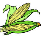 Dibujo Mazorca de maíz pintado por michael