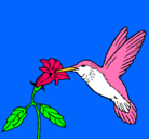 Dibujo Colibrí y una flor pintado por lumilud