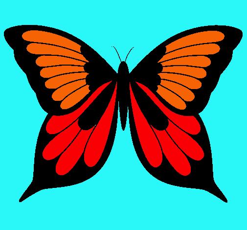 Mariposa