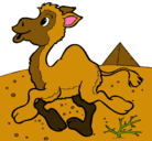Dibujo Camello pintado por 565644