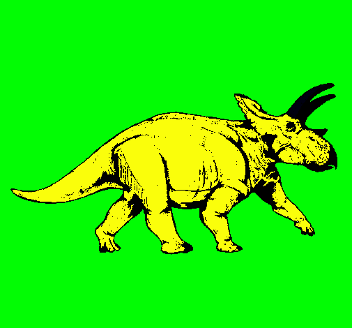 Triceratops