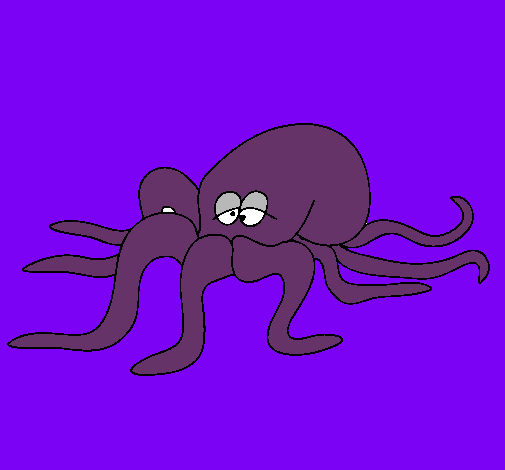 Pulpo