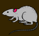 Dibujo Rata subterráena pintado por javierita