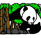 Dibujo Oso panda y bambú pintado por savagita