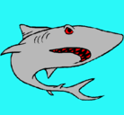 Dibujo Tiburón pintado por machoque
