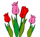 Dibujo Tulipanes pintado por 55ffjjf