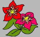 Dibujo Flores pintado por solange