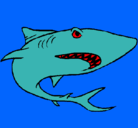 Dibujo Tiburón pintado por gatiitoo