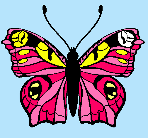 Mariposa 