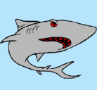 Dibujo Tiburón pintado por dann