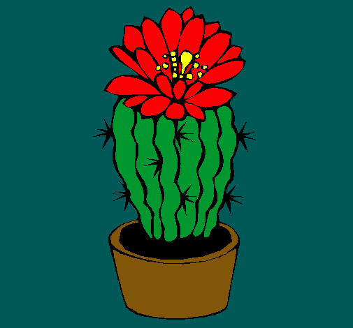 Cactus con flor