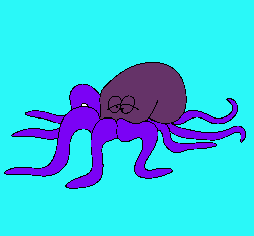 Pulpo