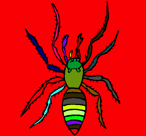 Araña tigre