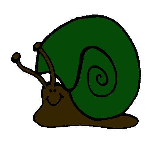 Caracol 