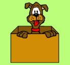 Dibujo Perro dentro de caja pintado por flopigb
