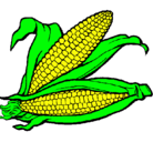 Dibujo Mazorca de maíz pintado por dibus