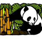 Dibujo Oso panda y bambú pintado por JOAQUINS