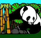 Dibujo Oso panda y bambú pintado por Annaa