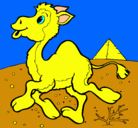 Dibujo Camello pintado por lolalo
