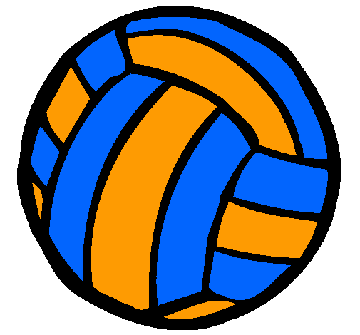 Pelota de voleibol