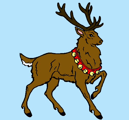 Venado