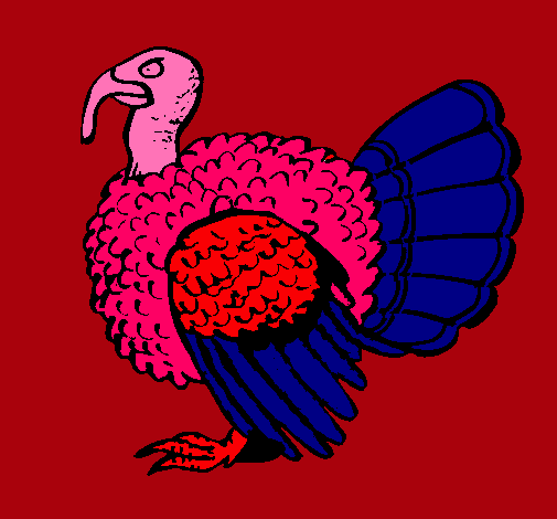 Pavo 