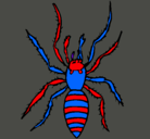 Dibujo Araña tigre pintado por 673547647759