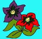 Dibujo Flores pintado por lilis