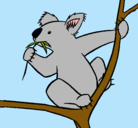 Dibujo Koala pintado por michii