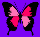 Dibujo Mariposa con alas negras pintado por laura2011
