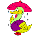 Dibujo Pato bajo la lluvia pintado por yisela