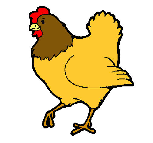 Gallina