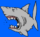 Dibujo Tiburón pintado por rodri