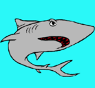 Dibujo Tiburón pintado por jacr120