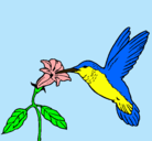 Dibujo Colibrí y una flor pintado por comentario
