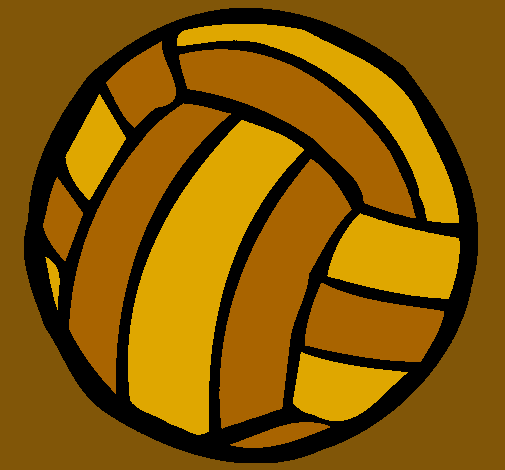 Pelota de voleibol