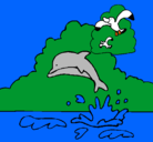 Dibujo Delfín y gaviota pintado por elith
