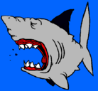 Dibujo Tiburón pintado por ivantxu