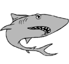 Dibujo Tiburón pintado por ronld