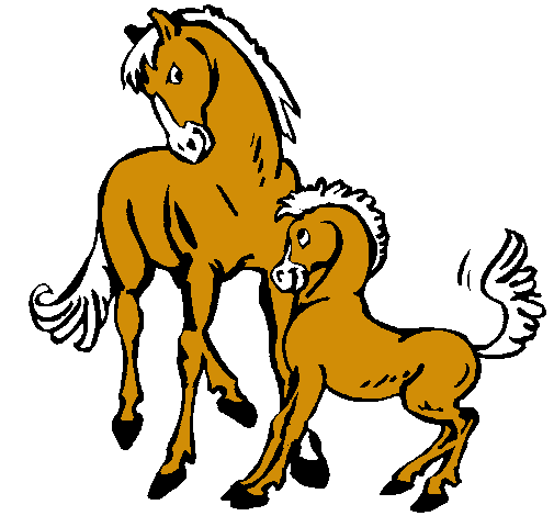 Caballos