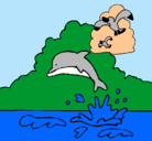 Dibujo Delfín y gaviota pintado por chirrimacuin