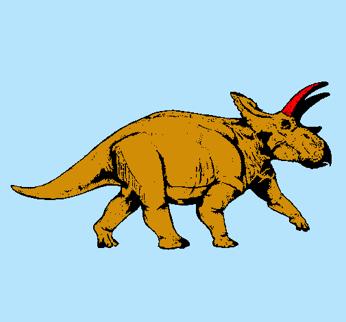 Triceratops