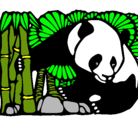 Dibujo Oso panda y bambú pintado por osohola