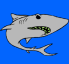 Dibujo Tiburón pintado por junior123