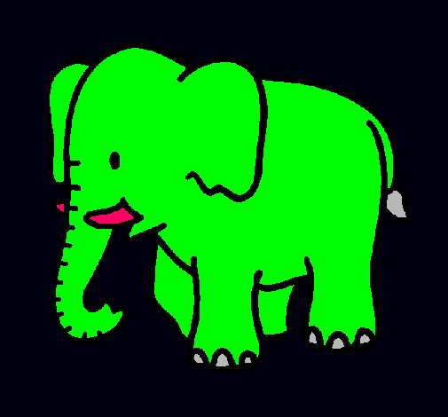 Elefante bebe