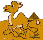 Dibujo Camello pintado por DANIS
